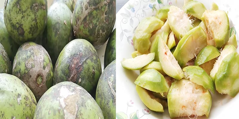 আমড়া খাওয়ার উপকারিতা আমড়া খাওয়ার উপকারিতা